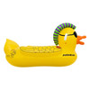 Airhead Pirate Punk Duck 2-Person Inflatable Float - AHPF-3019