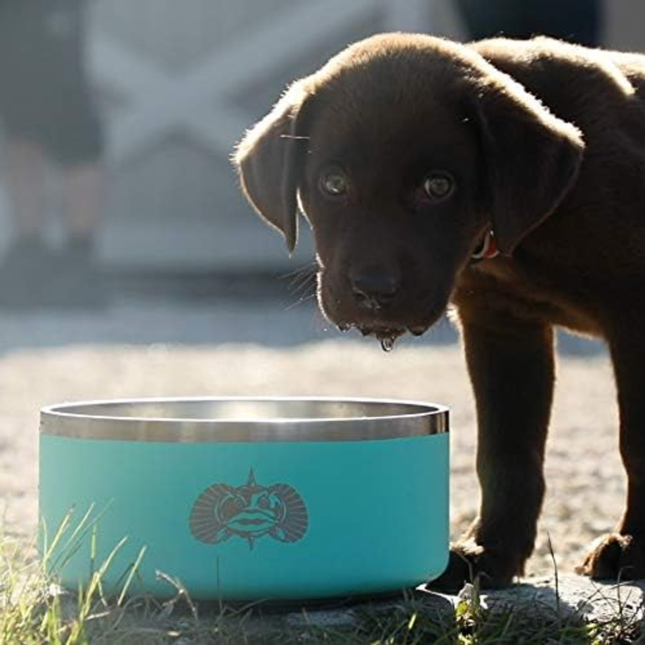 Toadfish Non-Tipping Dog Bowl