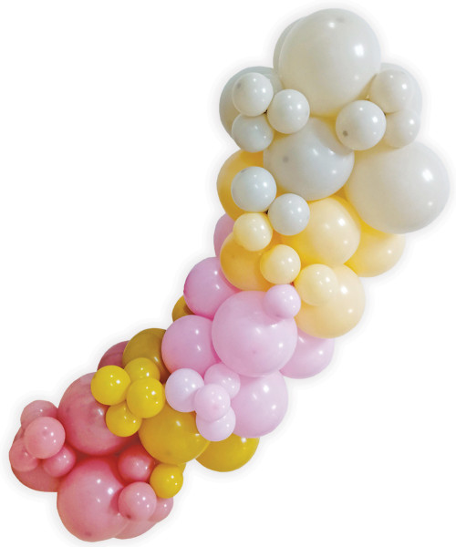 Create Your Own Organic Balloon Garland - Fashion Ombre Colors