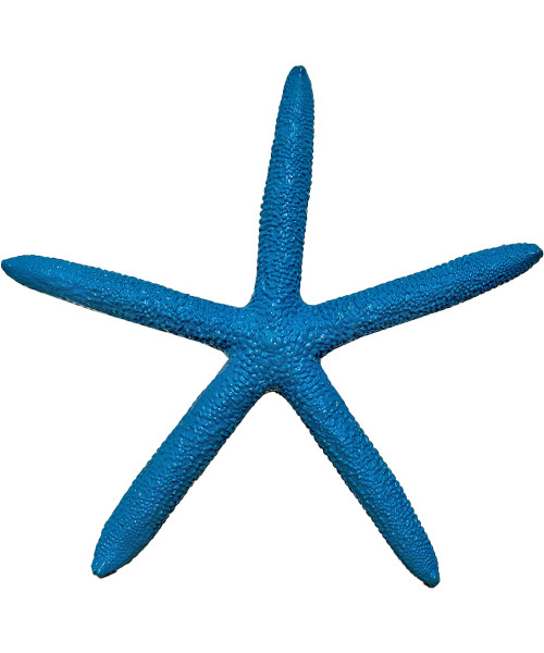 Decorative Starfish - Blue (16cm)