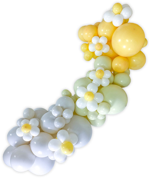 *Trending* Create Your Own Daisy Organic Balloon Garland - Chalk Matte Ombre Colors