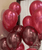 (Create Your Own Helium Balloon Cluster) 12" Ombre Balloons Cluster  - Metallic Colors