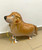 Walking Pet Balloon - Dachshund Dog: Helium Inflatable (optional)Walking Pet Balloon, ribbon is included. Walking Pet Balloon is made with high-quality mylar foil, welded seams and inflation valves are designed for long lasting fun.