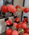 [CNY 2026] Table Balloon Stand (105cm tall) - Good Fortune