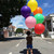 18" Fashion Color Round Latex Balloon