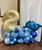 [Sea Creature] Happy Birthday Number Balloons Centerpiece - Sea Ocean Creature (Choose your favorite Sea Ocean Creature and Colors!)