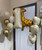[Birthday] Jungle Giraffe Birthday Balloons Package