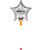 [Birthday]King of the Jungle Balloons Package - 28" Personalised Giant Star Foil Balloon - Metallic Silver