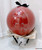 *MESS FREE* Gender Reveal Personalised Chalk Matte Balloon Dome - Pop To See 
