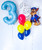 Paw Patrol Chase To The Lookout Balloons Package