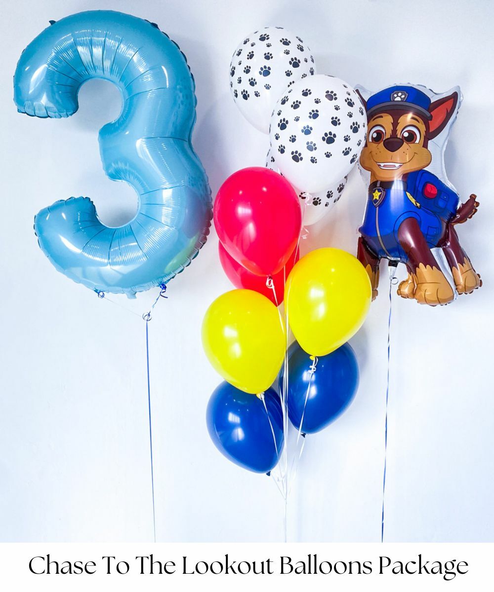 Paw Patrol Chase To The Lookout Balloons package by Give Fun Singapore