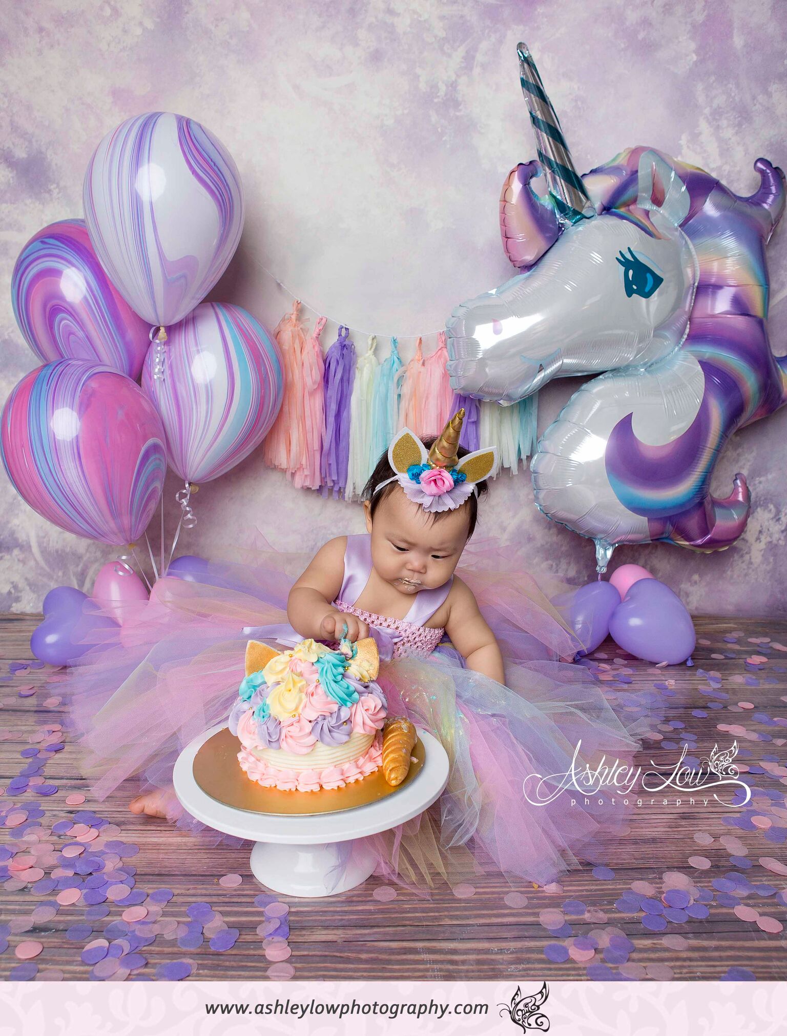 Unicorn Cake Smash Photoshoot by Ashley Low Photography