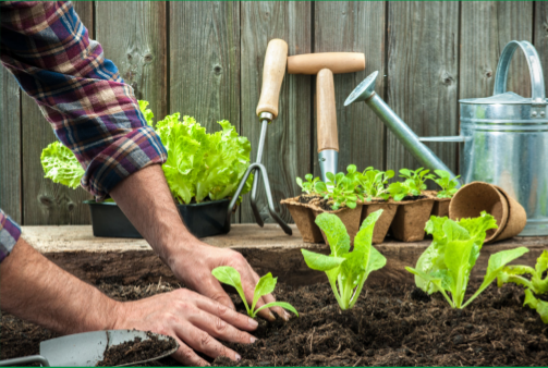 Compost Plant