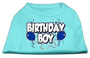 Birthday Boy Screen Print Shirts Aqua Med S528-51-05 MDAQ Birthday Boy Screen Print Shirts Aqua Med S528-51-05 MDAQ