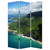 48 X 72 Multi Color Wood Canvas Palm Tripical  Screen N270-277088