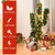 6 Feet Artificial Cactus PVC Christmas Tree with LED Lights and Ball Ornaments-6 ft - Color: Green  D681-CM20645