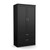 Modern Two Door Wardrobe Armoire with Two Drawers and Hanging Rod Storage, Black Q280-BLWH0038