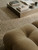 Armadillo Sonata Rug in Plume