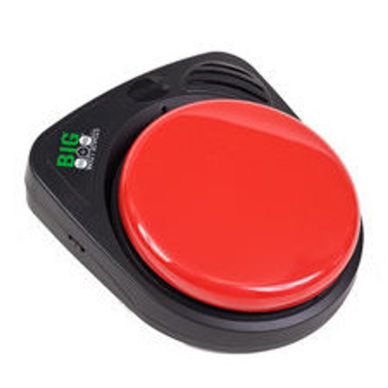 Talking Brix magnetic communication buttons for speech impaired link  together.