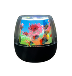 Ocean Lamp