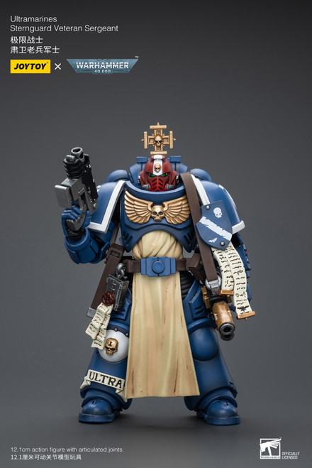 Ultramarines Sternguard Veteran Sergeant