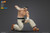 KOF 98UM Hero Team Goro Daimon