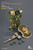 Salamanders Firedrake Terminator 1 with Thunder Hammer and Dragonscale Storm Shield
