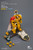 Imperial Fists Darnath Lysander with Thunder Hammer and Storm Shield