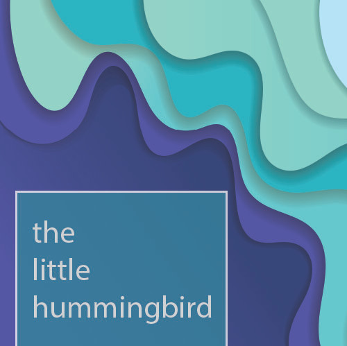 The little humming bird introduction pack