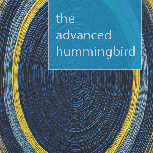 The advanced humming bird introduction pack