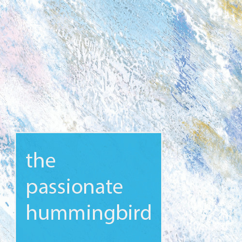 The professional hummingbird Introduction Pack