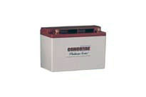 RG-35AXC Concorde Battery