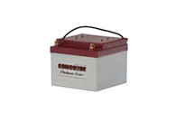RG24-15 Concorde Battery