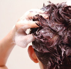 Premium Shampoo Base
