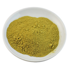 Rosemary Botanical Extract