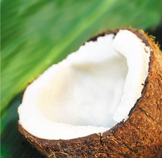 Coconut Lip Balm Flavor