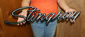 Corvette C3 Stingray Script Flat Steel Sign