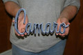 Chevy Camaro Script Steel Sign