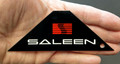 SALEEN Triangle Steel Magnet