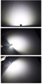 High Quality CREE-XBD 20W T10 LED Bulbs
