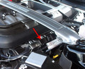 4 2011-2017 MUSTANG GT - POWERED BY FORD ETCHED FUEL RAIL COVERS | STAINLESS STEEL, CHOOSE FINISH | Brushed