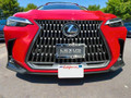 2025 Lexus NX 250/350/350h/450h removable front license plate bracket