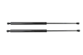 Paragon Performance C8 Corvette Carbon Fiber Hood Struts