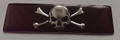 Skull Badge