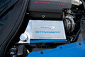 2014-2017 Corvette Stingray Z06/Z51/Grand Sport - Fuse Box Cover Stingray Emblem with "Stingray" Lettering 053033