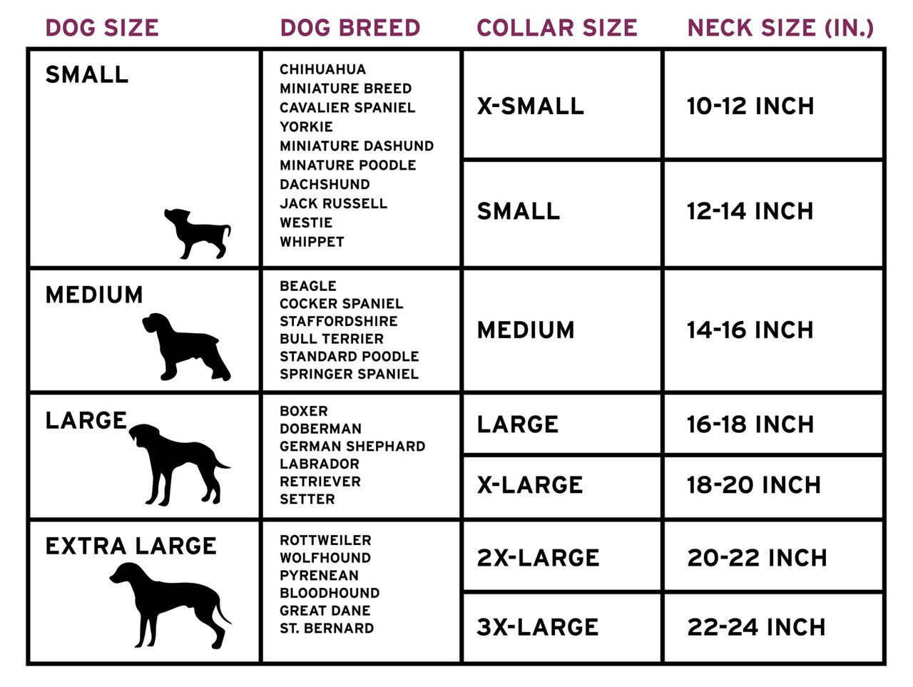 Rodeo Drive - Dog Collars - Glowing Results
