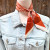 Burnt Orange and Cream Western Skinny Mini Wild Rag Scarf / Cowgirl Necktie 110