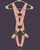 Concealed Wings