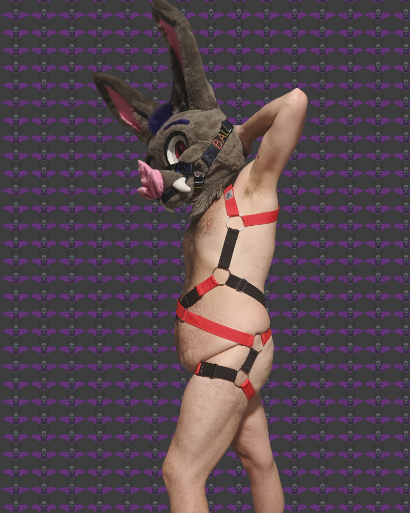 A man wearing a full-body harness called Flight Pattern. The straps go around his shoulder, down his body and across his back and stomach, and strap around his legs.