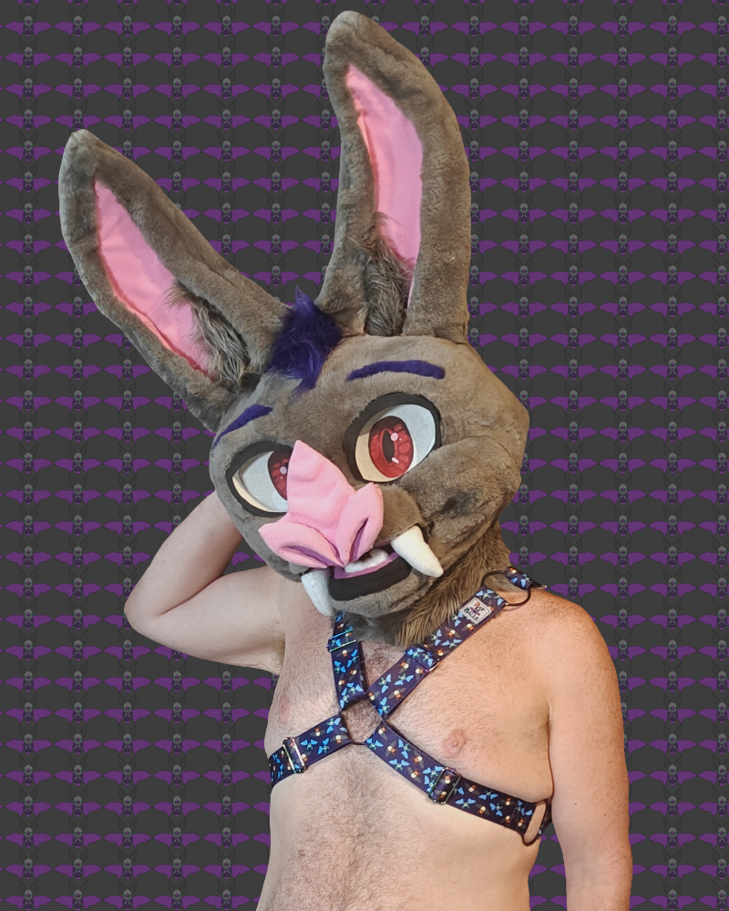 A man wearing a chest harness. The straps go over his shoulders and around the chest under the breasts